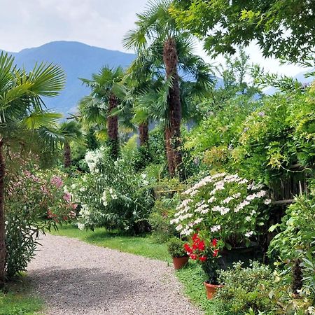 Nora S Home 5 - Panoramic Terrace & Bio Garden Merano Kültér fotó